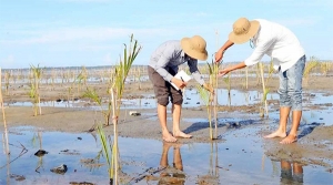 Thu hút đầu tư vào lĩnh vực lâm nghiệp